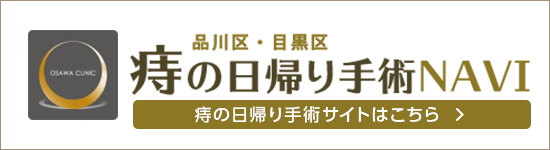 品川区・目黒区 痔の日帰り手術NAVI