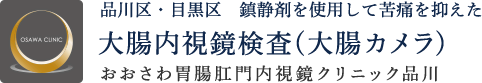 品川区・目黒区　鎮静剤を使用して苦痛を抑えた大腸内視鏡検査（大腸カメラ） おおさわ胃腸肛門内視鏡クリニック品川