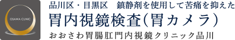 品川区・目黒区　鎮静剤を使用して苦痛を抑えた胃内視鏡検査（胃カメラ） おおさわ胃腸肛門内視鏡クリニック品川