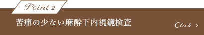 苦痛の少ない麻酔下内視鏡検査