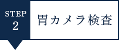 02 胃カメラ