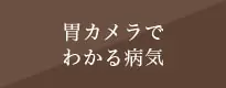 胃カメラでわかる病気