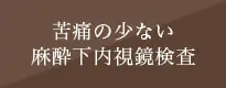 苦痛の少ない麻酔下内視鏡検査